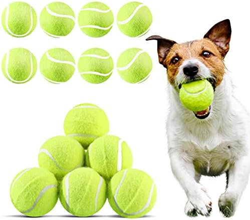 HANAIVE 20 חתיכות כדורי טניס כלבים 2 אינץ