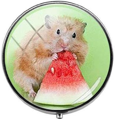 יפה יפה קטן לחיות מחמד עכבר אוגר גלולת תיבת-קסם גלולת תיבת-זכוכית סוכריות תיבת אמנות תמונה תכשיטי יום